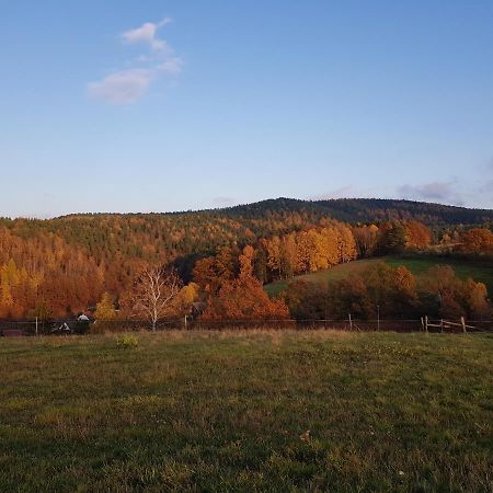 Ferienwohnung Bonndorf Wasungen Bagian luar foto