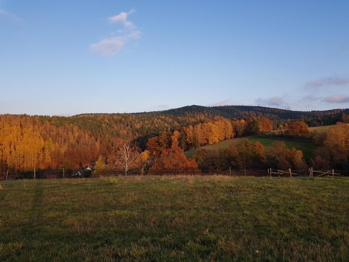 Ferienwohnung Bonndorf Wasungen Bagian luar foto
